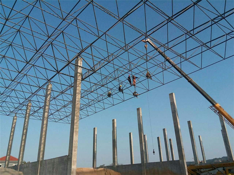 呼伦贝尔加气站钢结构网架案例10